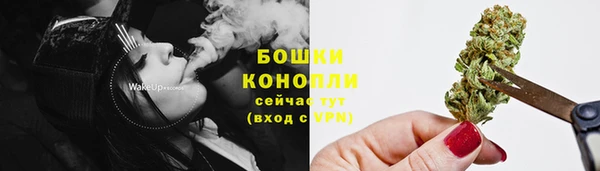 шишки Балахна