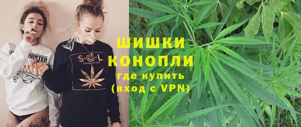 шишки Балахна