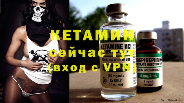 шишки Балахна