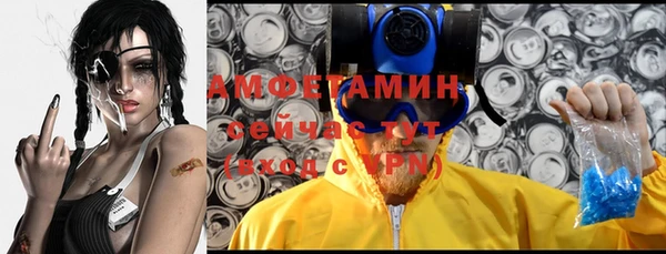 шишки Балахна