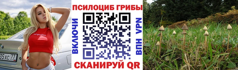 Псилоцибиновые грибы мухоморы  Белогорск 