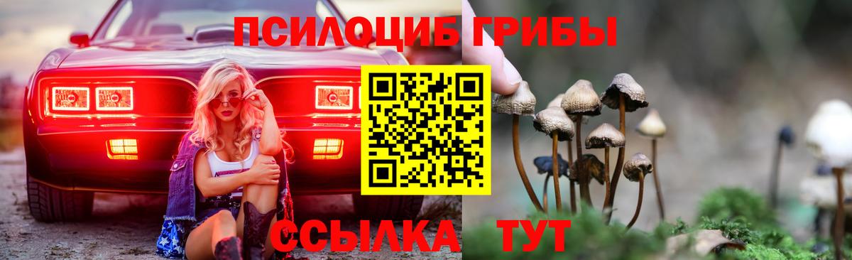 Галлюциногенные грибы Psilocybine cubensis  Псилоцибиновые грибы ЛСД  Вход с VPN  Белогорск 